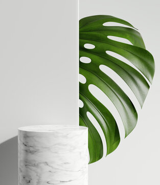 White Marble Product Display Podium With Monstera Leaf. 3D Rendering