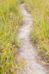 Nature trail of the outdoor place