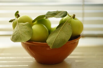 Ripe green apples in a clay bowl on the windowsill