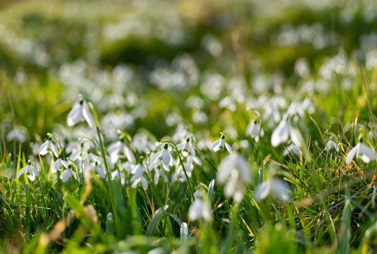Jahrezeit Images Browse 1,260 Stock Photos, Vectors, and Video