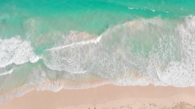 Tropical beach with coconut palm trees and turquoise caribbean sea. Aerial view from drone