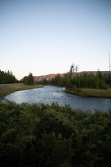 landscape with a river in Yellowstone National Park