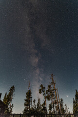 sky with stars over yellowstone national park