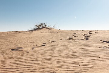 Desert sand landscape, dune nature dry,  tourism.