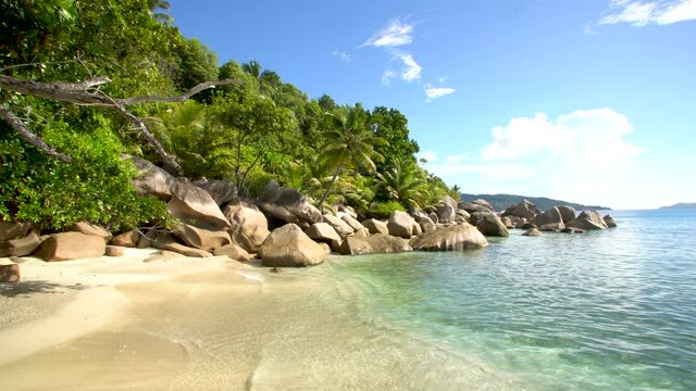 Granite rocks and coconut trees on the coast of Praslin Island Seychelles
