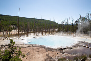 hot spring yellowstone national park 