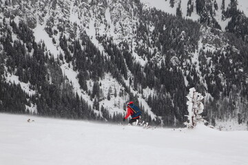 Sport ekstremalny, narciarz skiturowy w Tatrach Zachodnich, zjazd z Ornaka