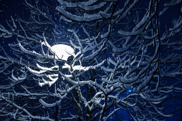 Lantern and beautiful snow covered branches against sky