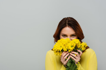 Naklejka premium pleased woman obscuring face with yellow chrysanthemums while looking at camera isolated on grey