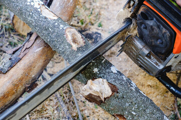 Chainsaw. Close-up of woodcutter sawing chain saw in motion, sawdust fly to sides.