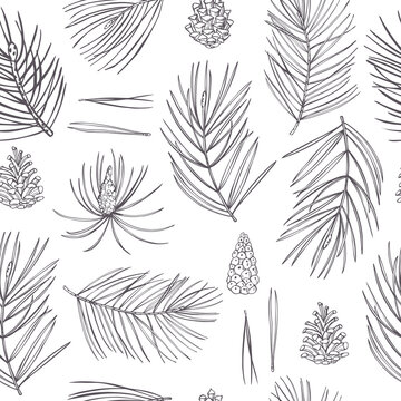 Pine Set. Vector  Pattern.