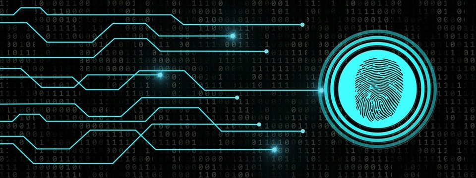 Fingerprint logo with information connecting lines on binary code background - scanning identification system by biometric authorization - cyber or business security concept - 3D Illustration