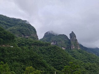 montanha, serra, serra&ccedil;&atilde;o, natureza, vida, frio, vegeta&ccedil;&atilde;o nativa