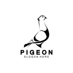 Pigeon bird logo vector icon illustration design template