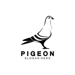 Pigeon bird logo vector icon illustration design template