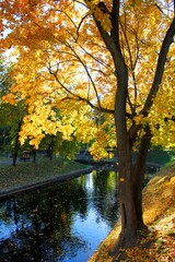 Golden foliage and canal views.