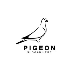 Pigeon bird logo vector icon illustration design template