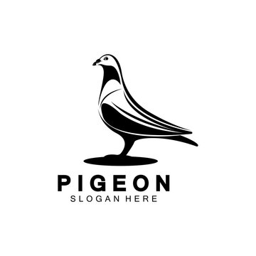 Pigeon bird logo vector icon illustration design template