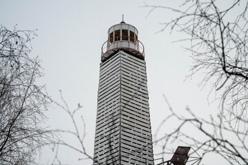 view from behind the branches of a tree to a white lighthouse.