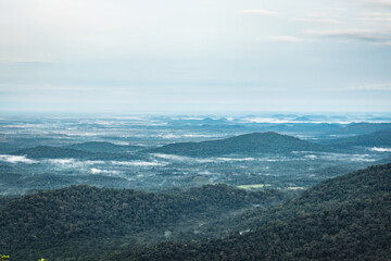 Fototapeta premium mountain coverd with white mists and dense forests