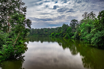river surrounded by lush green forest with white dramatic cloud