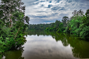 Fototapeta na wymiar river surrounded by lush green forest with white dramatic cloud