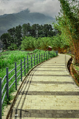 hiking trails covered with lush green forests