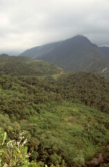 cloud forest Abra Patrica Peru, regenwoud Abra Patrica Peru