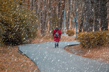 Womenl in a Red Down Jacket Walks in the Park during a Snowfall. The concept of the First Snow, Bad Weather