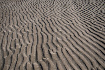 ripples in the sand