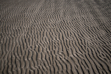 texture of sand