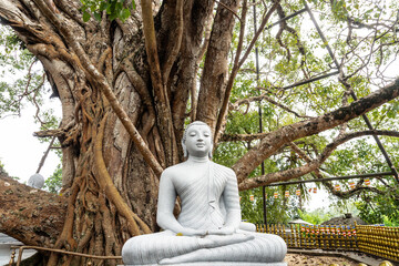 Kamienny posąg statua Buddy na tle drzewa w buddyjskiej świątyni. - obrazy, fototapety, plakaty