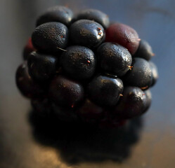Blackberry close up macro with water drops 