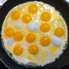 One dozen sunny side up eggs frying in a frying pan top down view.