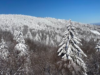 Beautiful day at Okemo mountain with fresh snow and panoramic views in Vermont USA