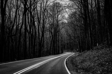 Fototapeta premium Black and White Nature Road