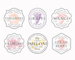 Fruits and Berries Frame Badges or Logo Templates Collection. Hand Drawn Tangerine, Mango, Grapes, Melon and Strawberry Sketches with Typography and Borders. Vintage Premium Emblems Set. Isolated