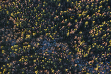 blue and yellow background