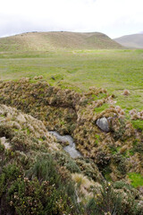 Antisana Reserve Ecuador