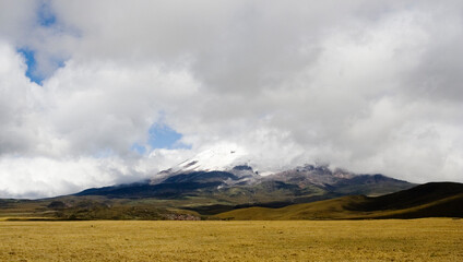 Antisana Reserve Ecuador