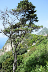 Küste bei paleokastritsa, Korfu