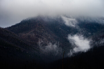 Fototapeta premium Foggy Mountain