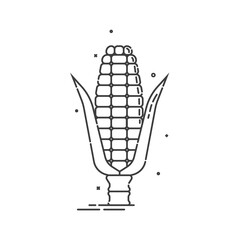 Corn on white background. Organic food. Healthful product. Young ear of maize with leaves. Healthy eating. Vegetarian foodstuff. Flat line art icon. Isolated object