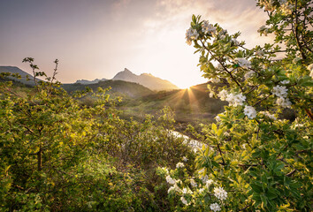 sunset in the mountains
