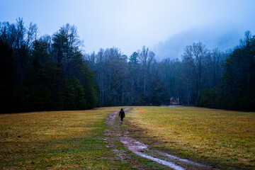 Obraz premium Walking to Cabin