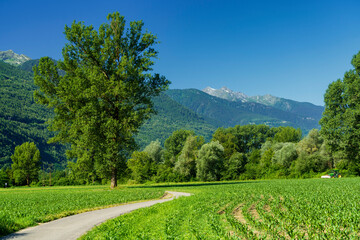 Landscape along the Sentiero della Valtellina, Italy, from the cycleway
