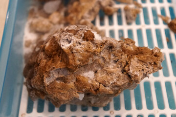 Artificial comet cube on Plastic Tray. Demonstration comet.