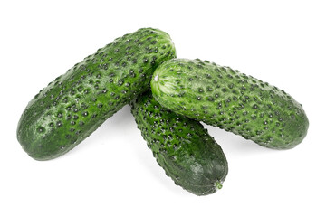 three green fresh cucumbers isolated on white background.
