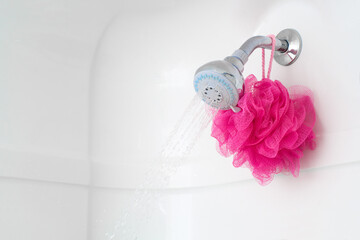 Bathroom showerhead and mesh shower pouf