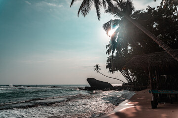 Duża skała na tle palm i oceanu, tropikalne wybrzeże.